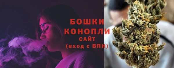 стафф Бронницы
