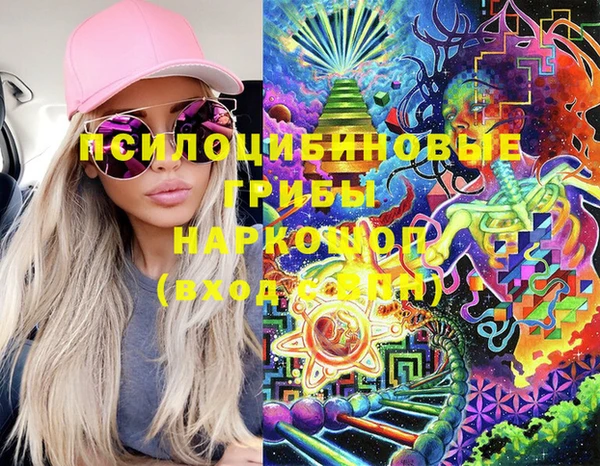 прущий лед Богданович