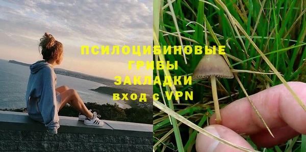 стафф Бронницы