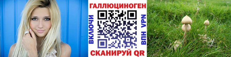 Галлюциногенные грибы MAGIC MUSHROOMS  Кириллов 